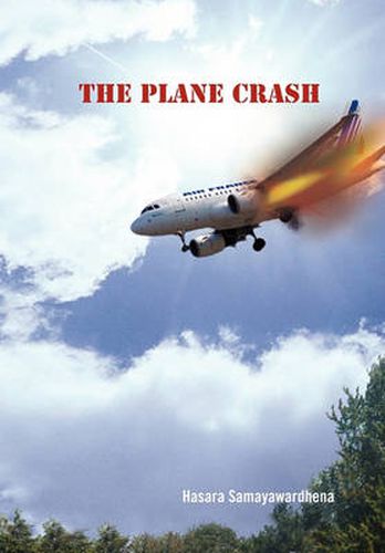 Cover image for The Plane Crash