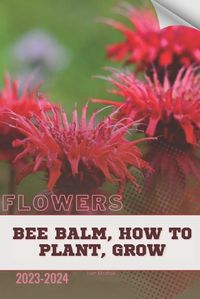 Cover image for Bee Balm, How To Plant, Grow