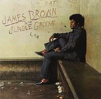 Cover image for In The Jungle Groove