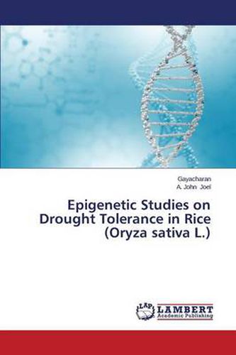 Cover image for Epigenetic Studies on Drought Tolerance in Rice (Oryza Sativa L.)