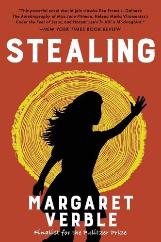 Cover image for Stealing