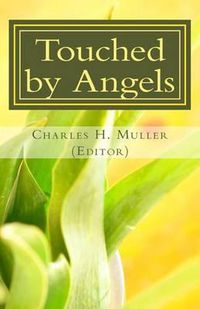 Cover image for Touched by Angels: Testimonies of Christian Power