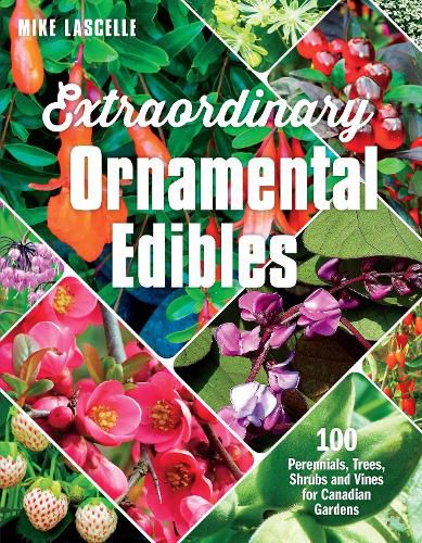 Cover image for Extraordinary Ornamental Edibles: 100 Perennials, Trees, Shrubs and Vines for Canadian Gardens