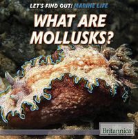 Cover image for What Are Mollusks?