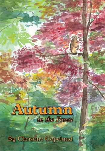 Cover image for Autumn in the Forest: A Seasons in the Forest Book