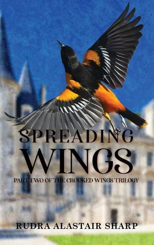 Cover image for Spreading Wings