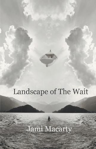 Cover image for Landscape of the Wait