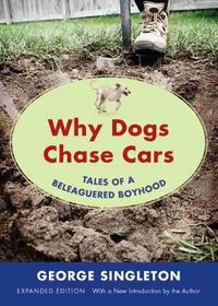 Cover image for Why Dogs Chase Cars: Tales of a Beleaguered Boyhood