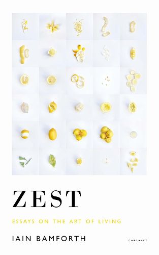 Cover image for Zest: Essays on the Art of Living