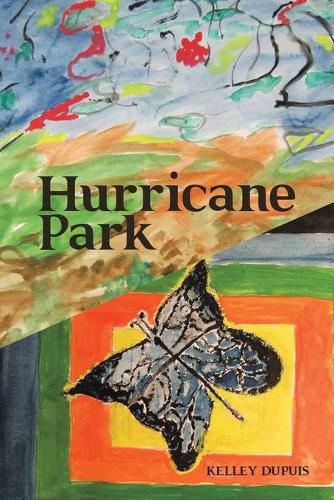 Cover image for Hurricane Park