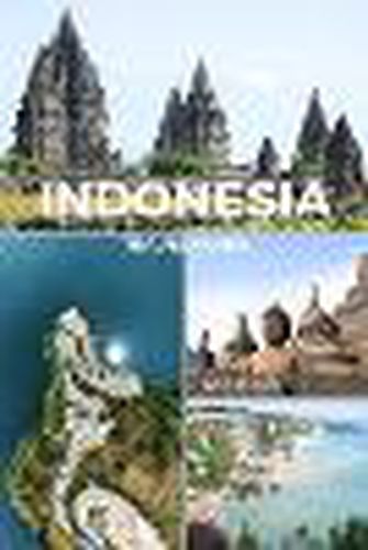 Cover image for Indonesia Travel Guide