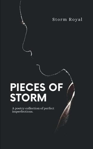 Cover image for Pieces of Storm