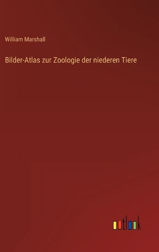 Cover image for Bilder-Atlas zur Zoologie der niederen Tiere