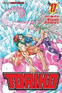 Cover image for Toriko, Vol. 17