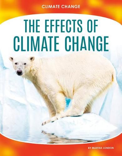 The Effects of Climate Change