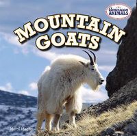 Cover image for Mountain Goats
