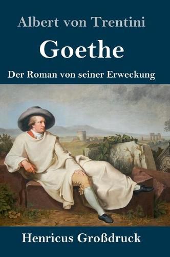 Cover image for Goethe (Grossdruck): Der Roman von seiner Erweckung