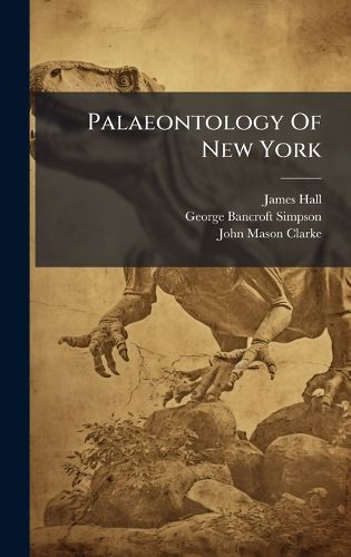 Cover image for Palaeontology Of New York