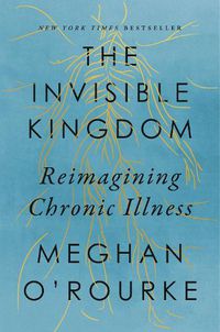 Cover image for The Invisible Kingdom: Reimagining Chronic Illness
