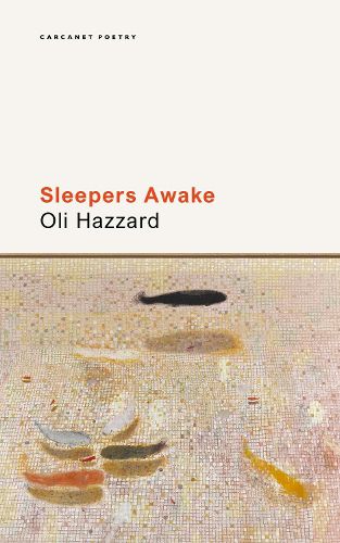 Cover image for Sleepers Awake