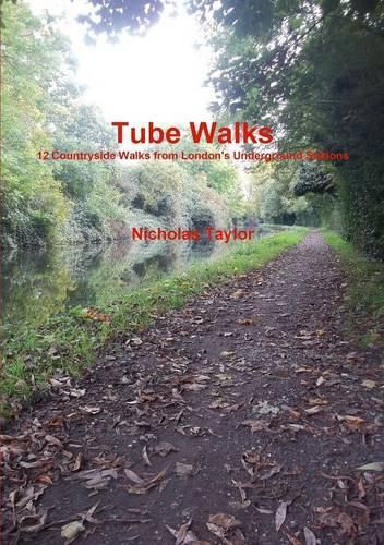 Cover image for Tube Walks