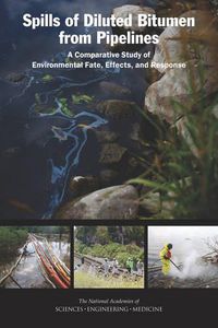 Cover image for Spills of Diluted Bitumen from Pipelines: A Comparative Study of Environmental Fate, Effects, and Response