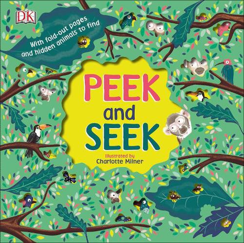 Cover image for Peek and Seek