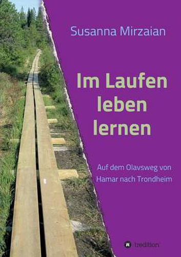 Cover image for Im Laufen Leben Lernen