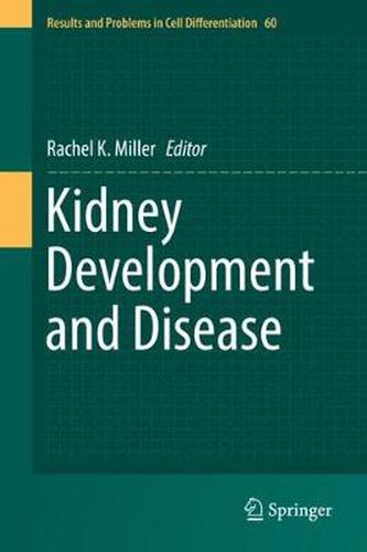 Cover image for Kidney Development and Disease