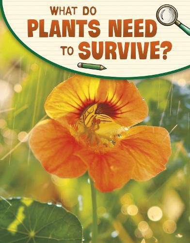 Cover image for What Do Plants Need to Survive?