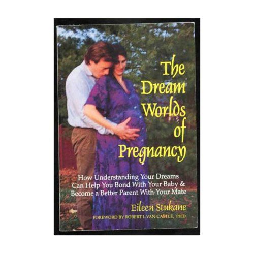 Cover image for The Dream Worlds of Pregnancy: How Understanding Your Dreams Can Help You Bond with Your Baby and Become a Better Parent