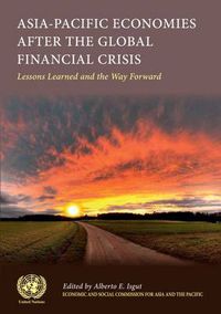 Cover image for Asia-Pacific economies after the global financial crisis: lessons learned and the way forward