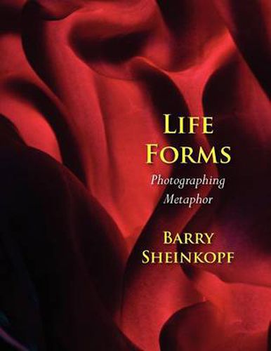 Cover image for Life Forms: Photographing Metaphor