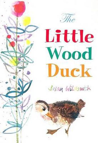 The Little Wood Duck