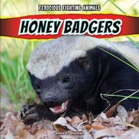 Cover image for Honey Badgers