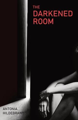 Cover image for The Darkened Room