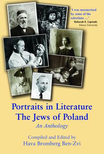 Cover image for Portraits in Literature: The Jews of Poland: An Anthology