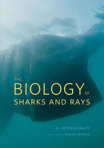 Cover image for The Biology of Sharks and Rays