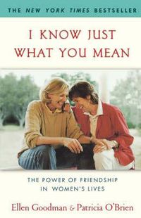 Cover image for I Know Just What You Mean: The Power of Friendship in Women's Lives
