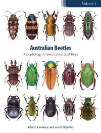 Cover image for Australian Beetles Volume 1: Morphology, Classification and Keys