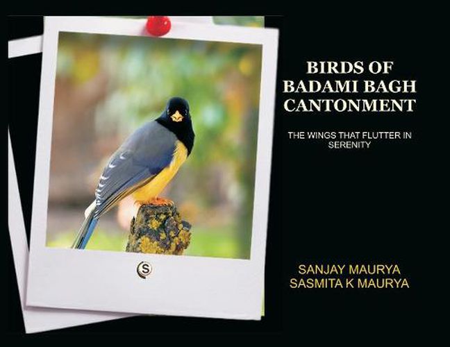 Cover image for Birds of Badami Bagh Cantonment