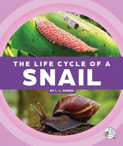 Cover image for The Life Cycle of a Snail