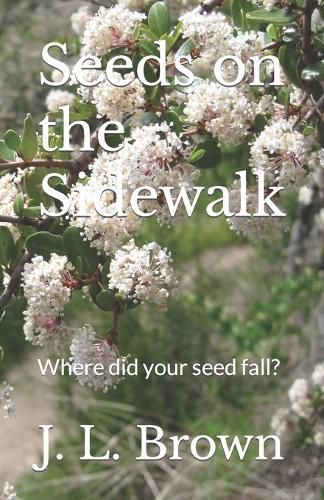 Cover image for Seeds on the Sidewalk