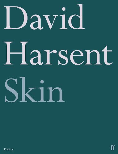 Cover image for Skin