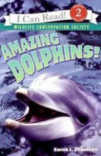 Cover image for Amazing Dolphins!