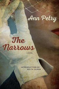 Cover image for The Narrows: A Novel