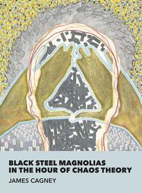 Cover image for Black Steel Magnolias in the Hour of Chaos Theory