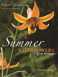 Cover image for Summer Wildflowers of the Northeast: A Natural History