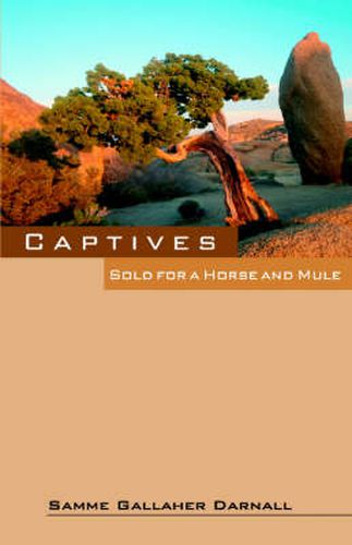 Cover image for Captives: Sold for a Horse and Mule