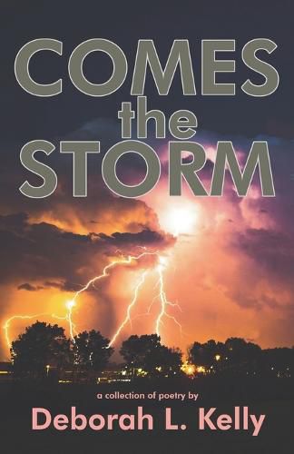 Cover image for Comes the Storm